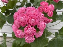 J&auml;gershus Joakim